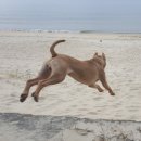 룰루랄라 이미지