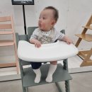 에이블파트너스 | [육아템 추천 :: 스토케 트립트랩, 결국 돌돌트 (at 에이블베이비 기장점)]