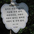 독수리 바위 이미지