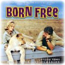 Born Free ( 야성의 엘자 ost ) / John Barry Orchestra 이미지