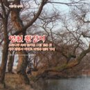 영천 참붕어 이미지