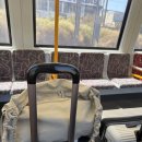 시드니힐 | 브리즈번/시드니 Day4 :: 브리즈번에서 시드니 국내선 이용, 메리톤 서섹스 후기, 옵저버토리힐(천문대...