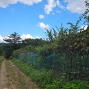 복전부동산공인중개사사무소 이미지