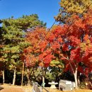 나래공원 이미지