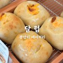 [서부] 건강빵과 발효종 | 광안리 베이커리 달럽 천연발효종 당일생산 건강빵맛집