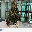 삼성본병원 이미지