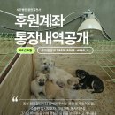 📌대표후원 2026년 6월 대모팀 &amp; 일시후원&amp;바자 통장내역 공개📌 이미지