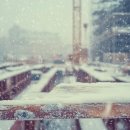 나라물자조달 이미지