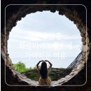 피노키오박물관 | [강릉하슬라아트월드]비오는날 피노키오 구경 강아지 동반가능 예약.가격 후기