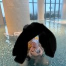 해피썬 | 스플래쉬 어바웃 아동 수영복 내돈내산 후기(수영복 종류 총정리 웜인원 vs 해피내피)