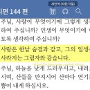 #1294 도시와 그 불확실한 벽