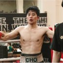 골든복싱 이미지