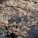 합천호회양관광단지 이미지