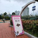 명창식당 | 2025 그랜드민트페스티벌 후기(2025. 10. 18~10. 19)