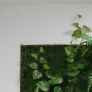 의료법인 성세의료재단 영종국제병원 이미지