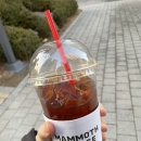 매머드익스프레스거여동점