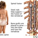 바른손한의원 이미지