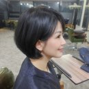 ✂️ 단발머리는 쉽다? 아닙니다. 결과가 다릅니다. 이미지