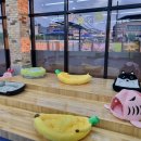 개편한 스쿨 이미지