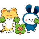 이엘메디컬 이미지