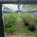 금정농장(2) 이미지