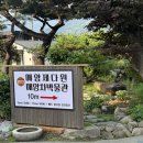 하동주유소 | [하동] 가볼만한 곳 녹차밭 카페 “매암제다원”