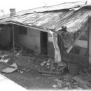 판교시장 이미지