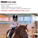 안성팜랜드 눈썰매 아이랑 가기 너무 좋아요