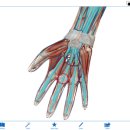 침맥한의원 이미지