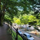 [원주/치악산] 구룡자동차야영장 하우스 1번 후기