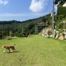 VILLA de LOUIS 이미지