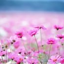 빛을 만나다 이미지