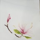 연필스케치와 꽃그림 이미지