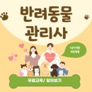 스마트한 펫시터 준비하기 기초반(반려동물 관리사 자격과정) | 반려동물관리사 온라인 학원으로 취득방법 및 합격후기