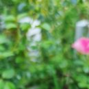 산호아파트 놀이터 이미지