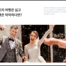 나는 식도락 전문가 | 유럽 신혼여행 경비 : 2주 코스 일정 추천 루트 총정리