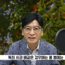 메디풀(Medipool) 이미지