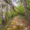 양마산 물빛길 이미지