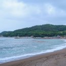 애완견배변봉투 | 2026년 애완견 동반 해수욕장, 포항 흥환리해수욕장 여름 개장 기간과 이용요금