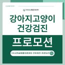 시온동물병원 이미지