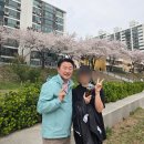 동화태권도 | 2025 의정부 한마음 건강걷기 일정 가는길 참가 후기