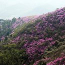 좋은세상 이미지