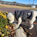 은계유치원 이미지