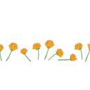 농부보따리 이미지