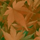 (주)퓨처스토리 이미지