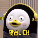 더감성