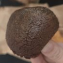 꽈배기서울 | 뜨거운 날에도 줄서서 사먹는 서울 [광장시장 찹쌀꽈배기] 솔직후기