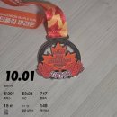 안양천뷰 | 2025 안양천 단풍길 마라톤 첫 마라톤 후기