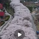 옹암해변주차장 이미지