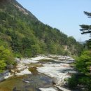 열차와 하루 이미지